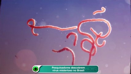 Pesquisadores descobrem vírus misterioso no Brasil