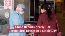 Coronavirus Deaths Per Day