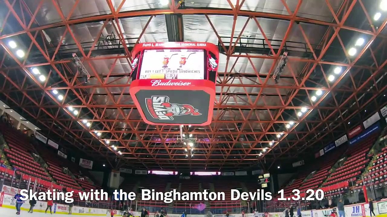 1.3.20 Skating with the player!