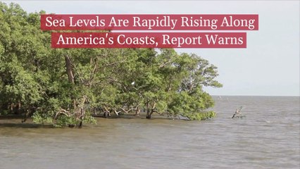 American Coasts Are In Danger