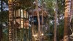 Bali's New Treetop Hotel Takes You Closer To Your Dreams