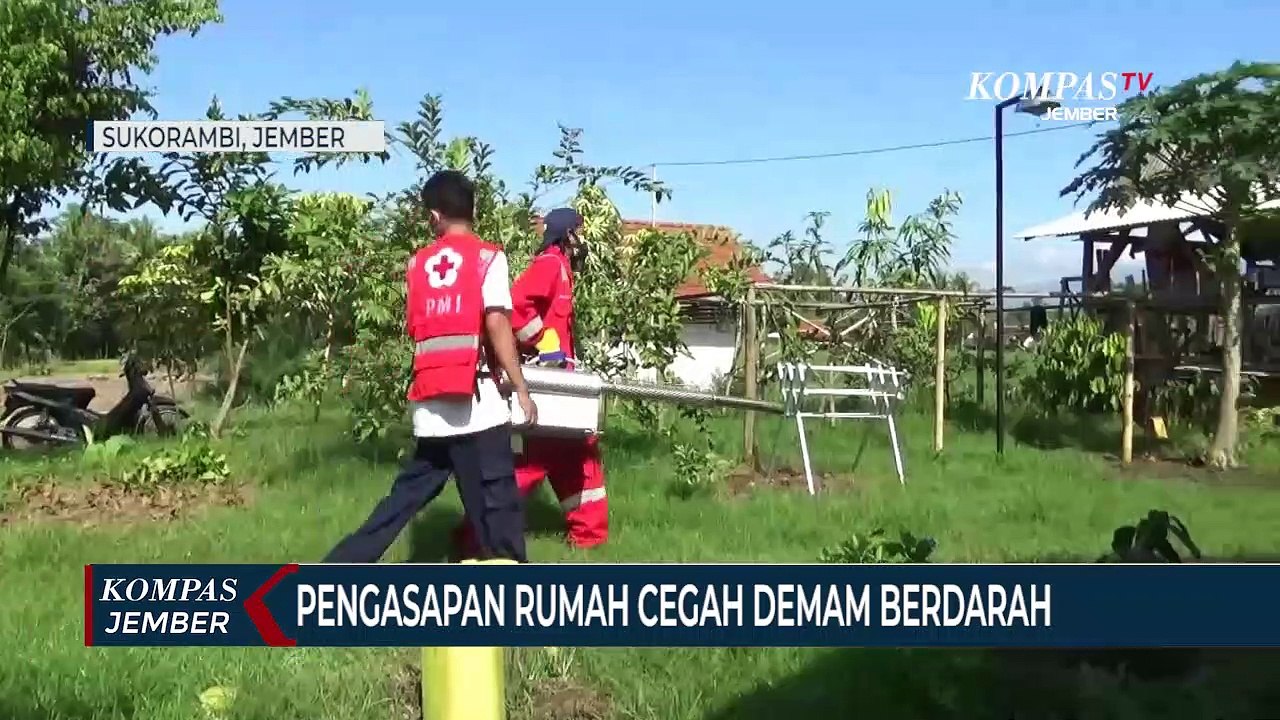 Pengasapan Rumah Cegah Demam Berdarah
