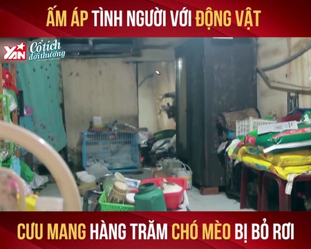 ẤM ÁP TÌNH NGƯỜI VỚI ĐỘNG VẬT CƯU MANG HÀNG TRĂM CHÓ MÈO BỊ BỎ RƠI II YANNEWS