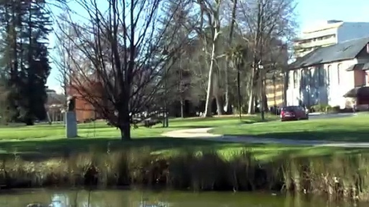 LES PROMENADES DE MICHOU W-D.D. - 2 FÉVRIER 2020 - PAU - PROMENADE DU PREMIER DIMANCHE DE FÉVRIER AU PARC BEAUMONT