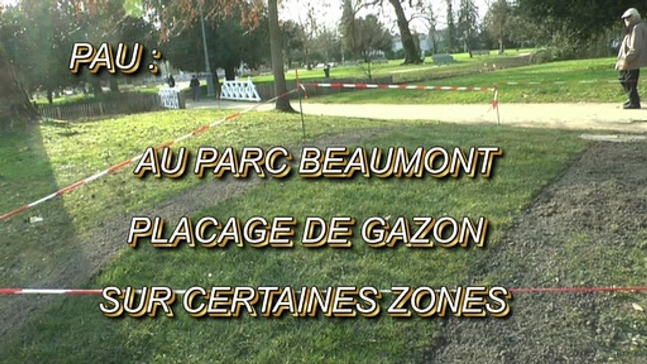 LES W-D.D. MICHOU NEWS - 3 FÉVRIER 2020 - PAU - AU PARC BEAUMONT PLACAGE DE GAZON SUR CERTAINES ZONES