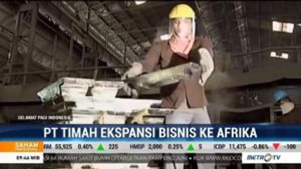 PT Timah Ekspansi Bisnis ke Afrika