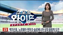 [아이스하키] 백지선호, 노르웨이·덴마크·슬로베니아 상대 올림픽 도전