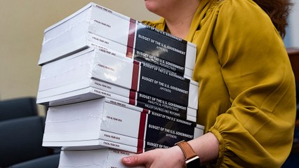 Trump to propose US budget cuts to foreign aid and social safety