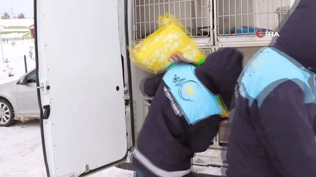 Karda yiyecek bulmakta zorlanan sokak hayvanlarına yem desteği