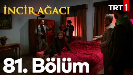 İncir Ağacı 81. Bölüm