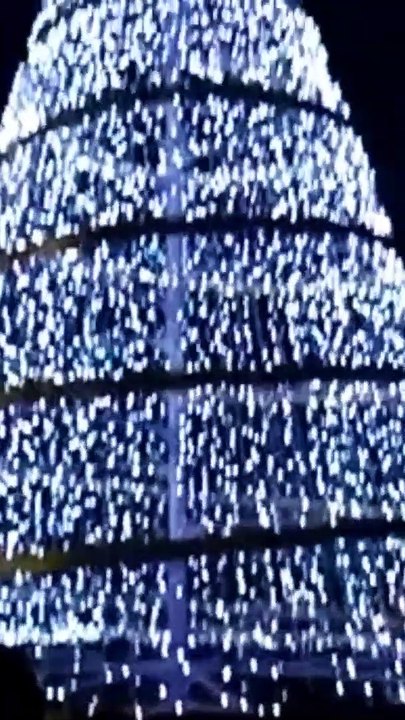 Christmas trees making with  lights