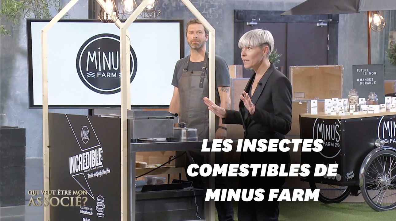 Minus Farm, la ferme urbaine d'insectes comestibles dans "Qui veut être mon associé"