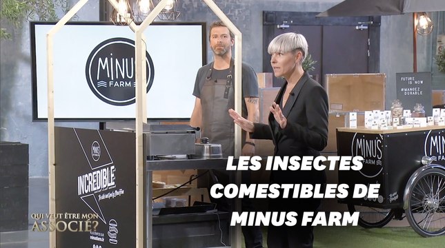 Minus Farm, la ferme urbaine d'insectes comestibles dans Qui veut être mon associé