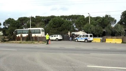 Polis uygulama noktasına sığınan kedi "Cemşit" ekiplerin maskotu oldu