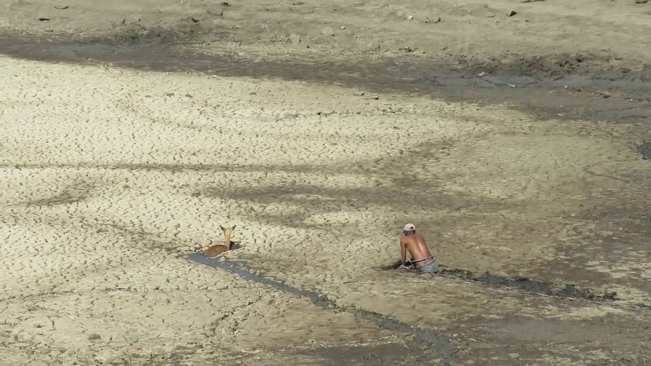 IMPALA RESCUE   2016 10 30 2016 10 30