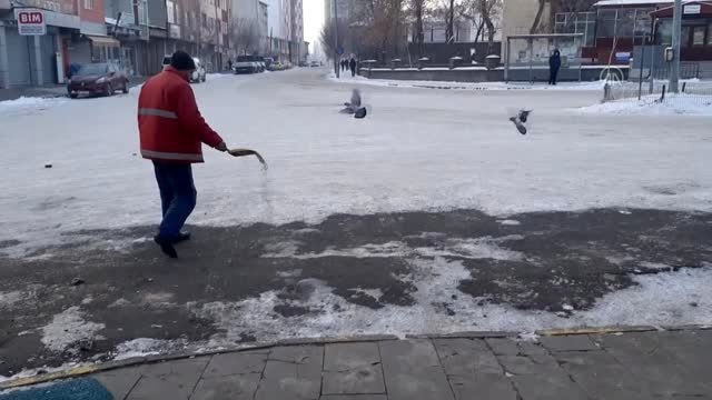 Vatandaşlar yem bulmakta güçlük çeken kuşlara yem bıraktı