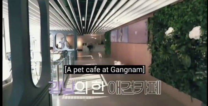 [EngSub] Super Junior/Kim Heechul - Fashionista Taengoo