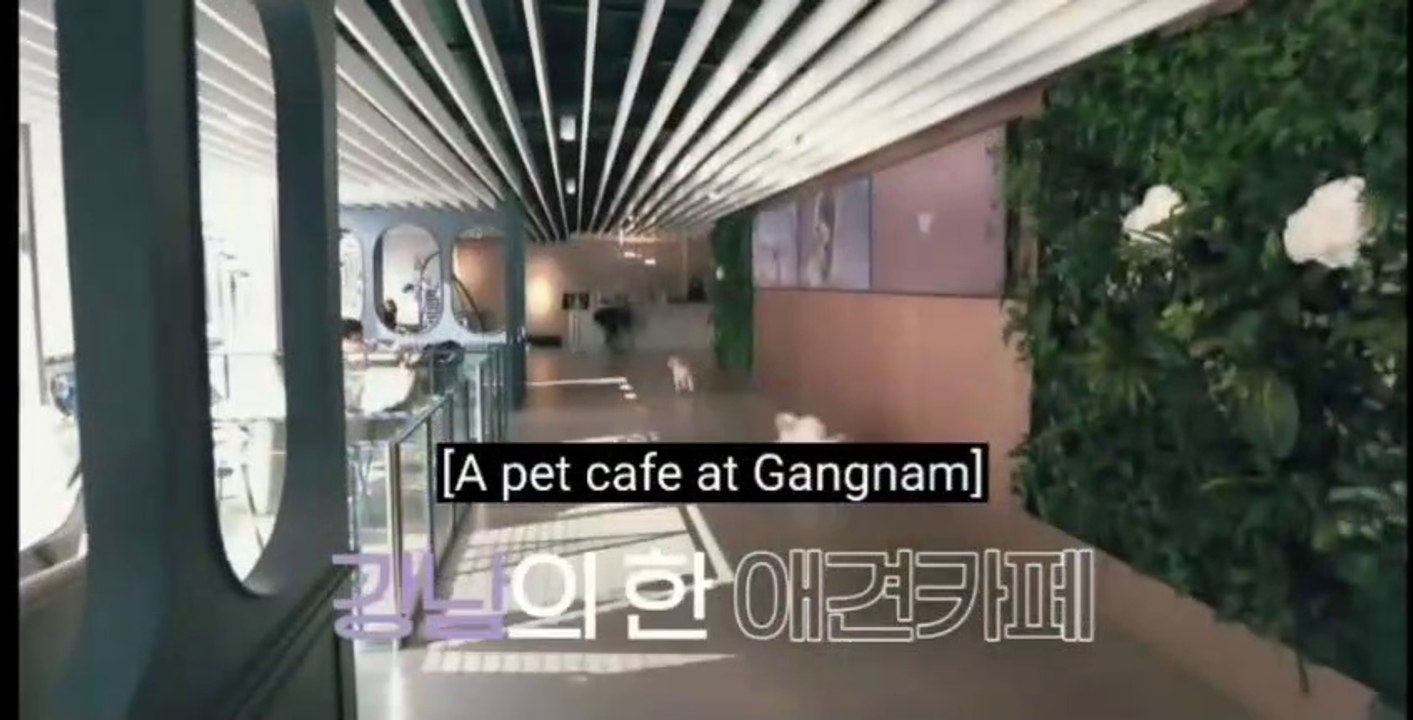 [EngSub] Super Junior/Kim Heechul - Fashionista Taengoo