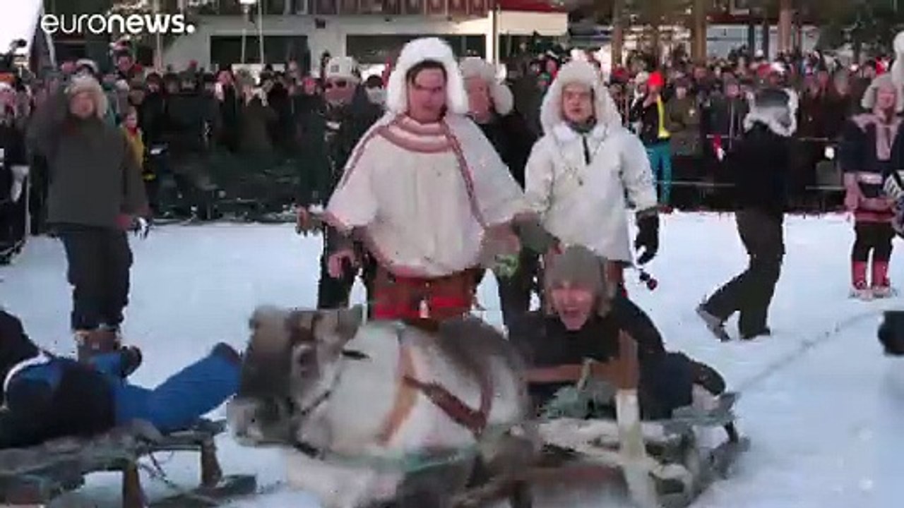 Tolldreistes rentierrennen am polarkreis