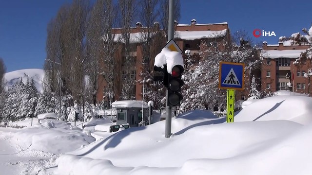 Bitlis kara gömüldü... Okulların tatil edildiği kentte tabelalar kardan kayboldu