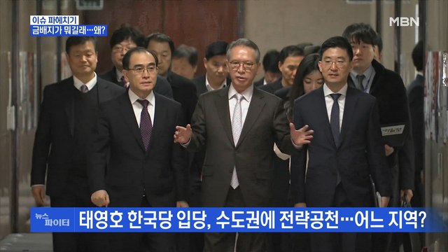 MBN 뉴스파이터-금배지가 뭐길래?…'부적격 판정' 정봉주-'한국당 입당' 태영호