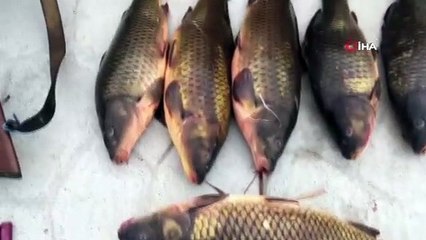 Elektroşokla balık avına 420 bin lira ceza