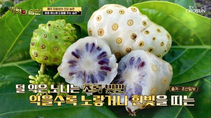 암을 부르는 위염?! 「노니 주스」로 염증 해소~