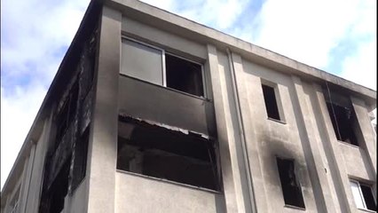 Bakırköy'deki yangında, evde yaşayan 10 kedi öldü