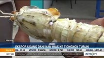 Udang Belalang Asal Jambi Tertahan Virus Corona