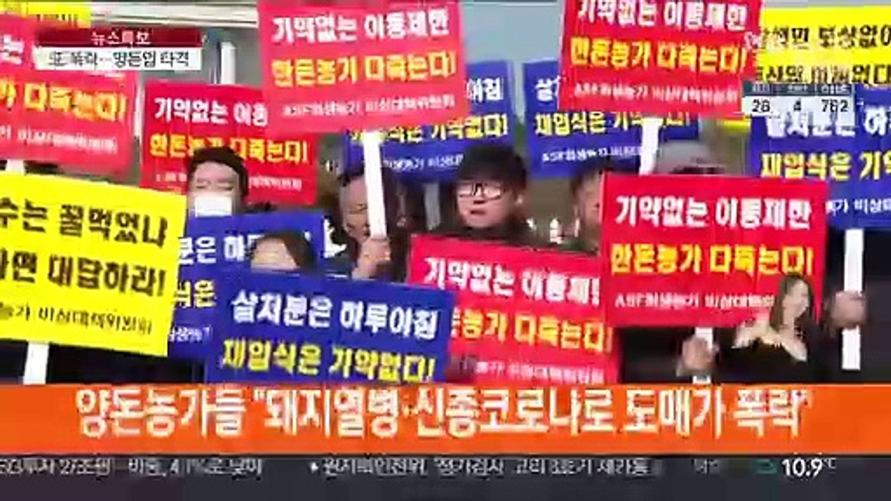 돼지열병 끝나니 신종코로나…시름 깊어진 양돈농가