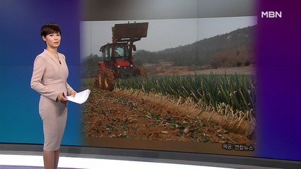 김주하의 2월 11일 '이 한 장의 사진'