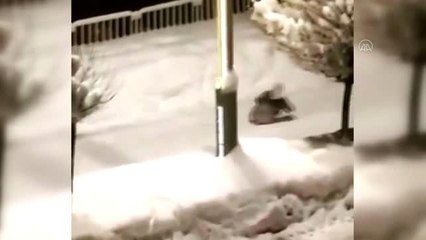 Saime Uğur torunlarıyla tepsi kullanarak kaymanın keyfini yaşadı