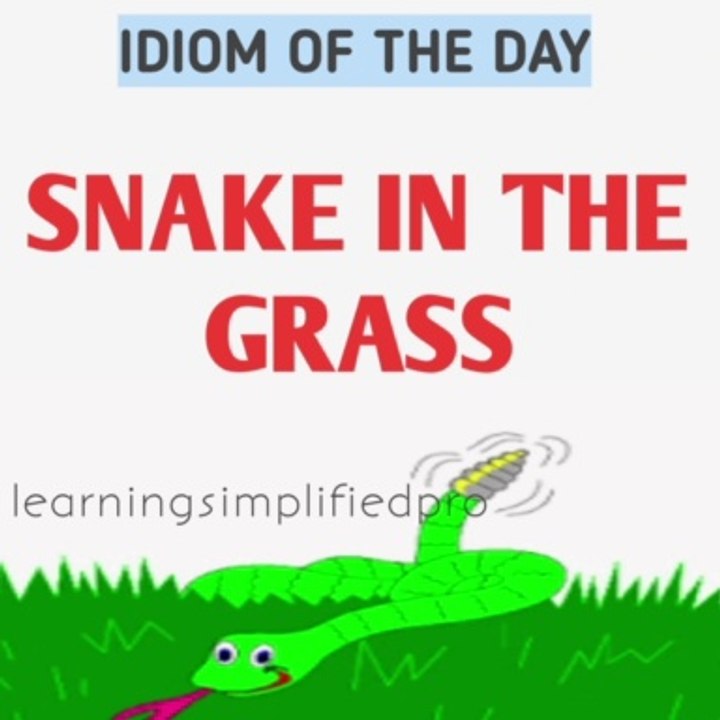Snake in the grass