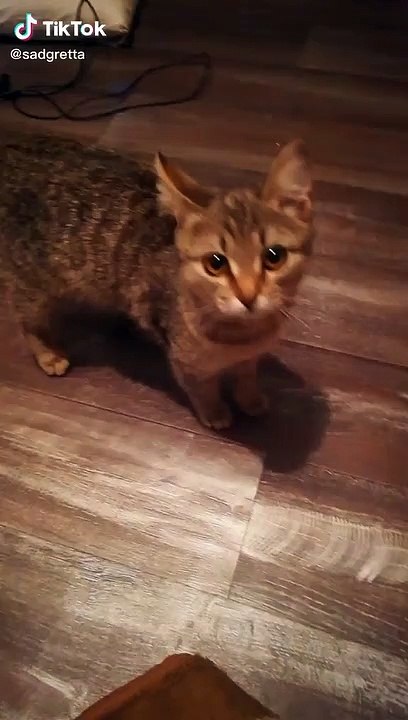 Chat pas content sur Snapchat