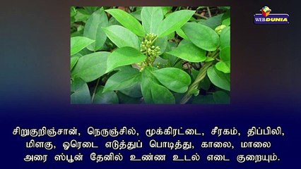 உடல் எடையை குறைக்க டிப்ஸ்...!