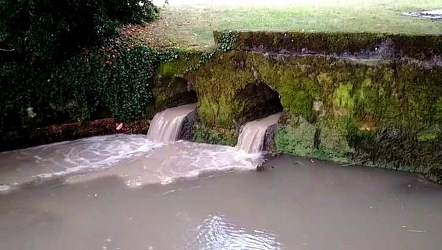 Trop d'eaux usées se déversent dans les rivières du Pays de Montbéliard selon le Samu de l'environnement