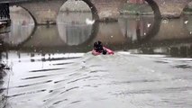 Nehre düşen kediyi itfaiye kurtardı