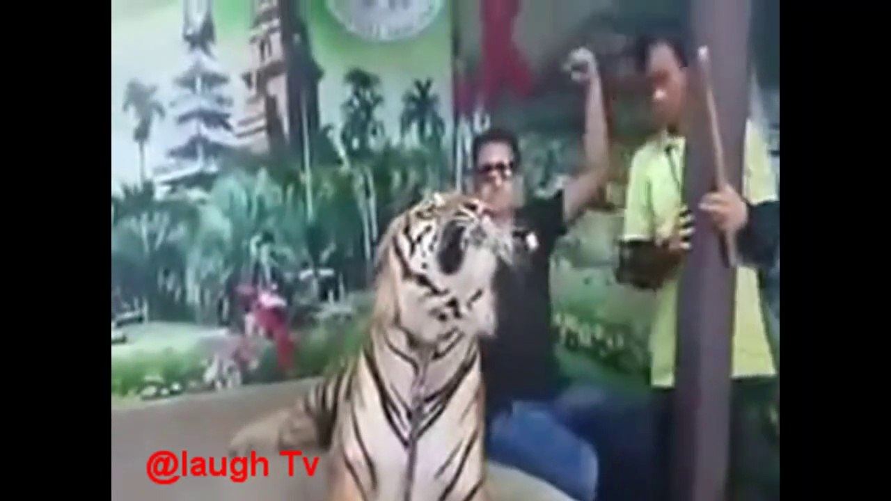 Whatsapp  Viral Funny Videos