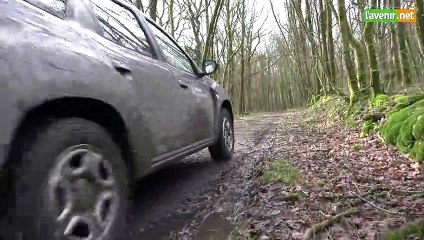 L'Avenir - Tempête Ciara  : dégâts en forêt