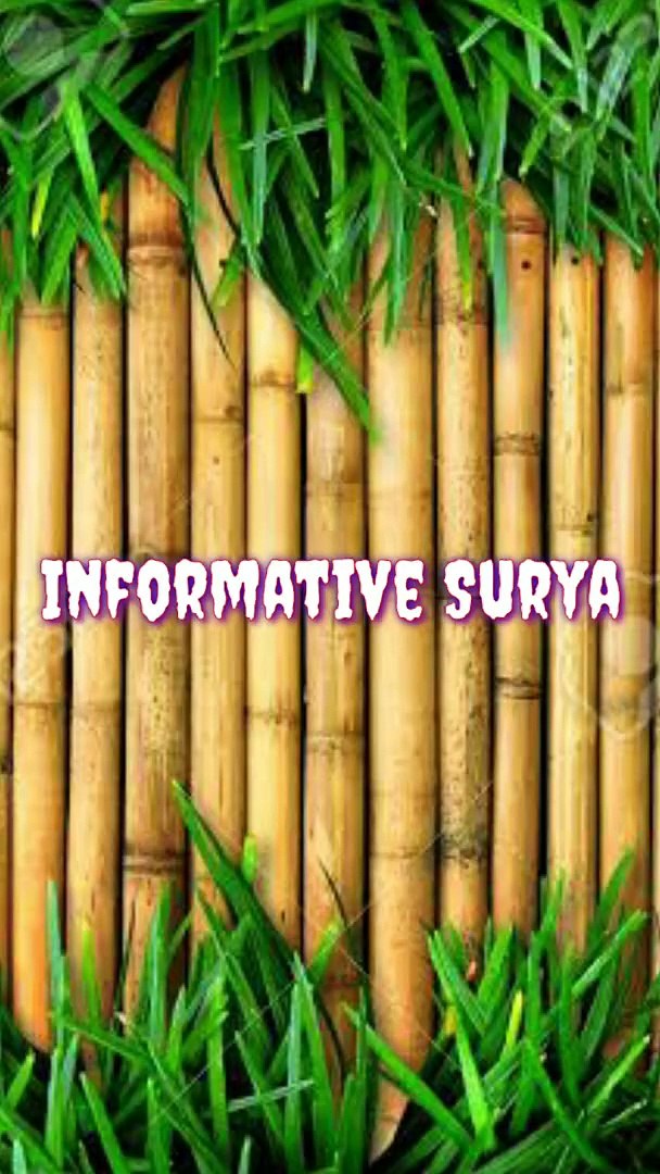 ⁣How To Show Internet Speed On MI Phone | Internet Speed Activate On MI Phone | Informative Surya |