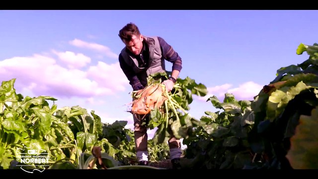 EXCLU - AVANT PREMIERE - Découvrez les 1ères images de La grande vadrouille de Norbert diffusé dès le samedi 29 février sur la chaîne 6ter