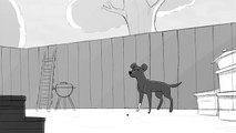 Animated Short Film - THE DOG