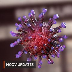 Скачать видео: China virus death toll passes 1,000