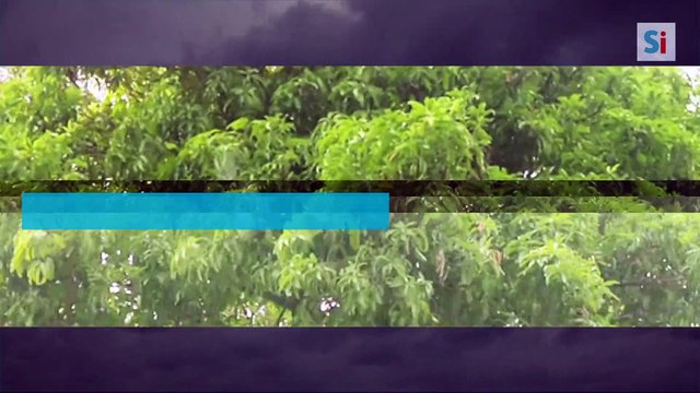 Intempéries: après la tempête Ciara, la tempête Dennis arrive sur la Belgique