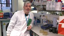 Investigadores británicos ensayan vacuna contra el nuevo coronavirus en ratones