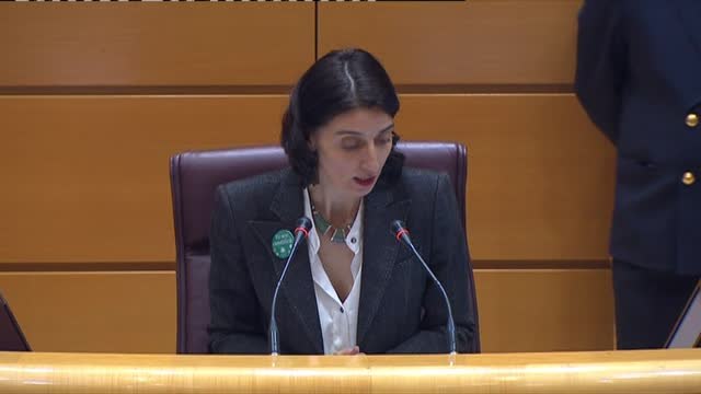 El Senado guarda un minuto de silencio por las tres últimas víctimas de violencia machista