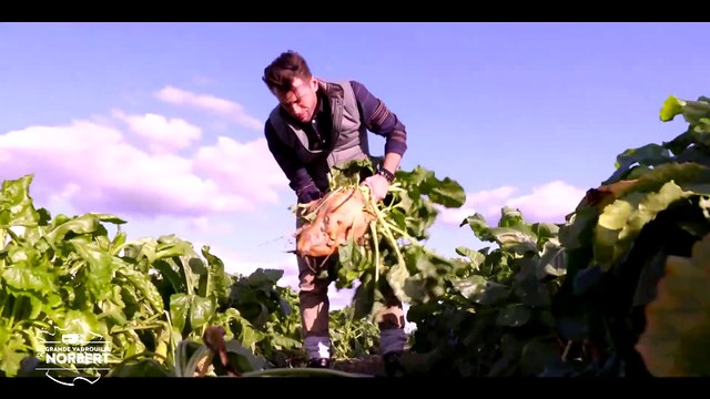 Découvrez les premières images de La grande vadrouille de Norbert diffusé dès le samedi 29 février à partir de 21h05 sur la chaîne 6ter