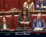 Silvana Nappi - Intervento su contrasto ad antibiotico resistenza (11.02.20)