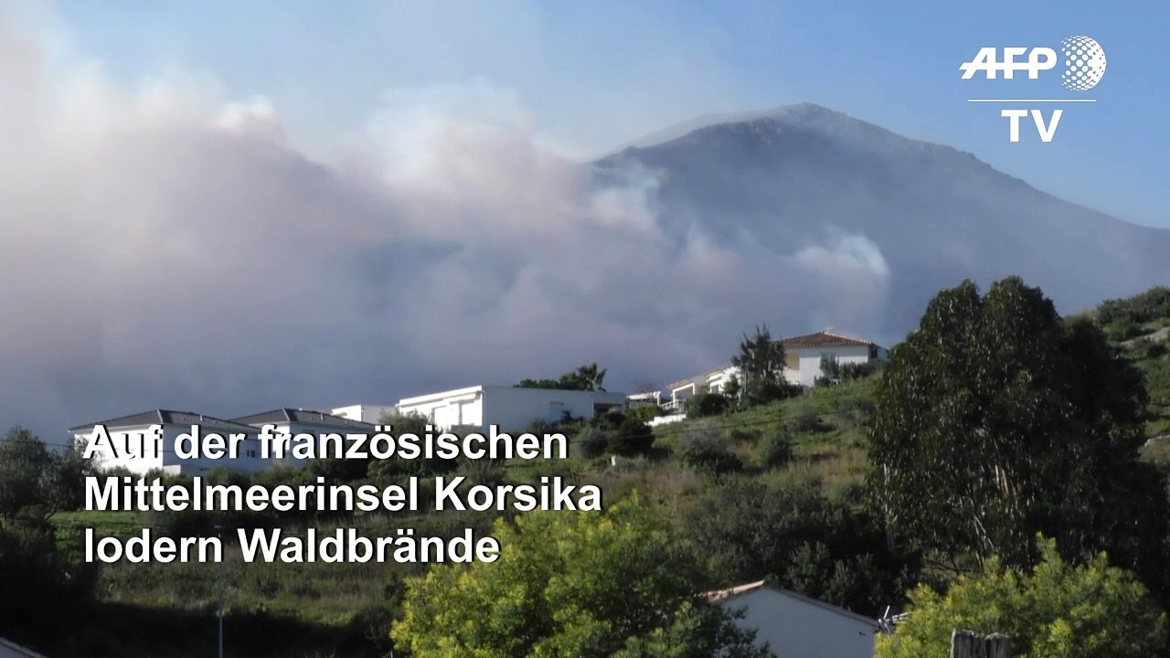 Waldbrände lodern auf Korsika