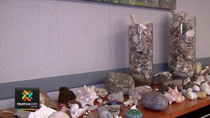 tn7-decomisos-de-material-marino-110220